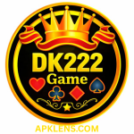 DK 222 Game